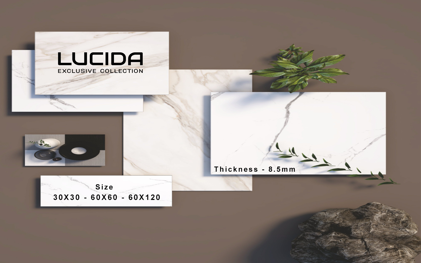 LUCIDA COLLECTION