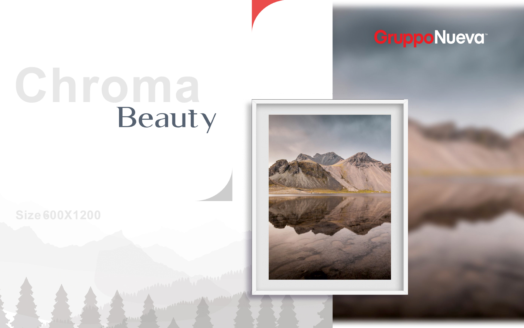 CHROMA COLLECTION