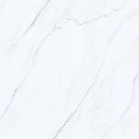 Calacatta 1200x1200