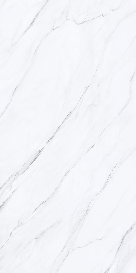 Calacatta 1200x2400