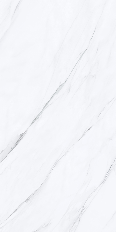 Calacatta 800x1600
