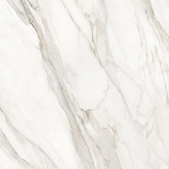 Calacatta Paonazzo 1200x1200