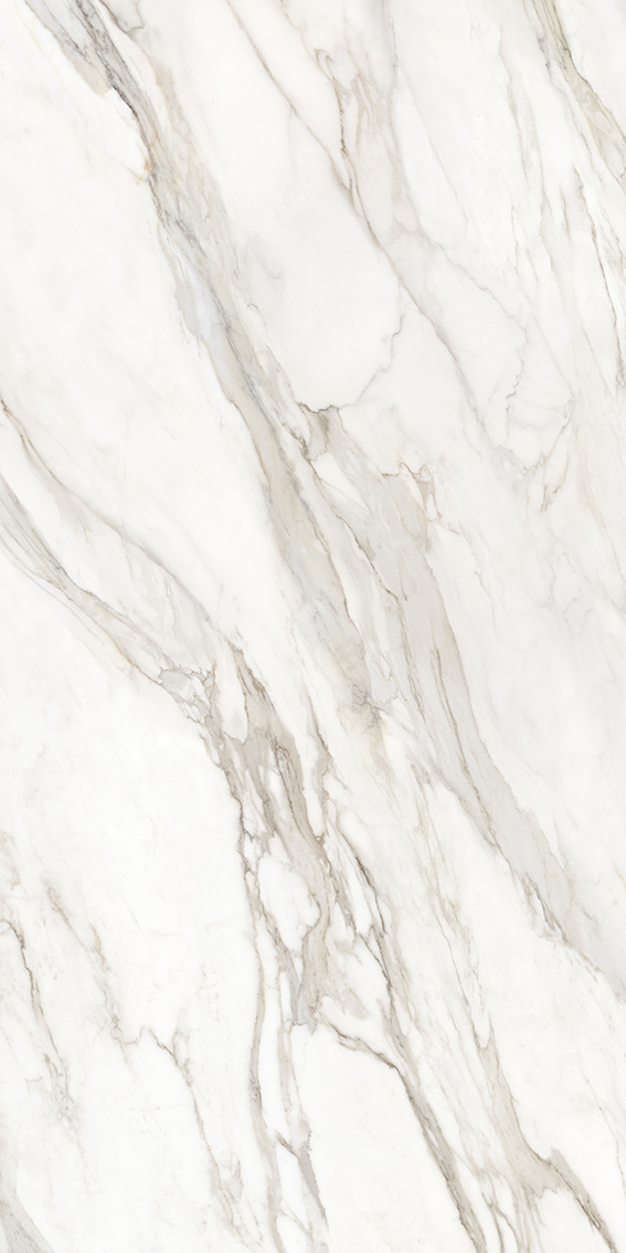 Calacatta Paonazzo 1200x2400