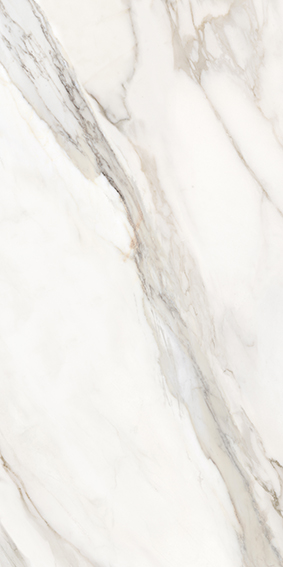 Calacatta Paonazzo 600x1200