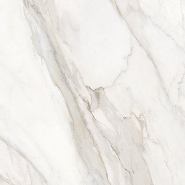 Calacatta Paonazzo 800x800
