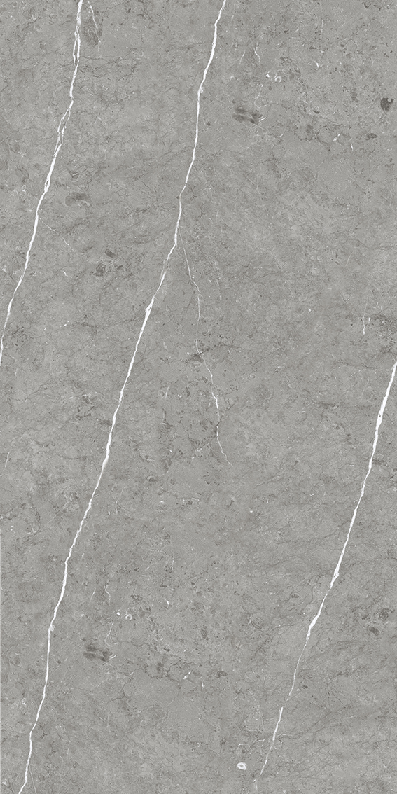 Paradiso Argento 1200x2400