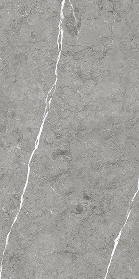 Paradiso Argento 600x1200