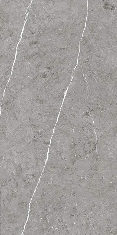 Paradiso Argento 800x1600