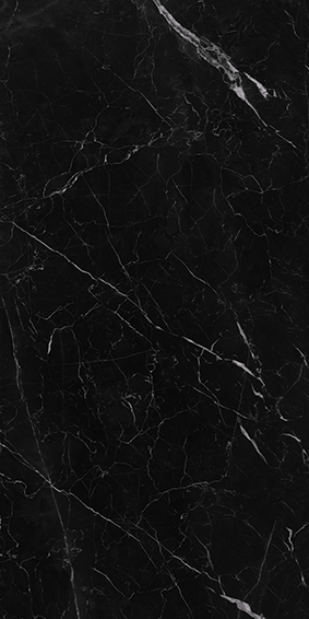 Saint Laurent 600x1200