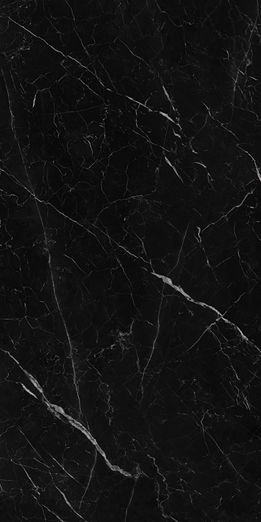 Saint Laurent 800x1600