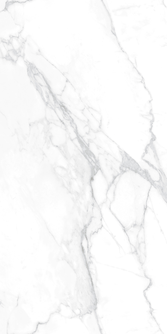 Statuario Vivian 1200x2400