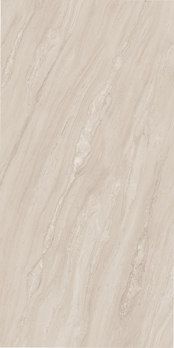Splendid Brown 600x1200