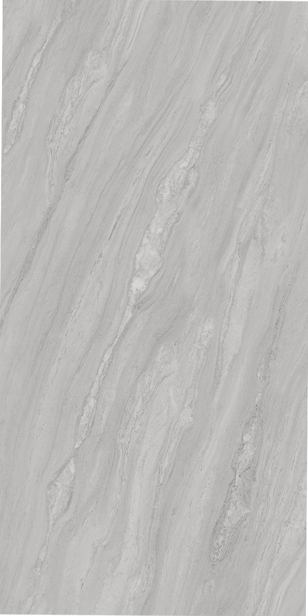 Splendid Grey 600x1200