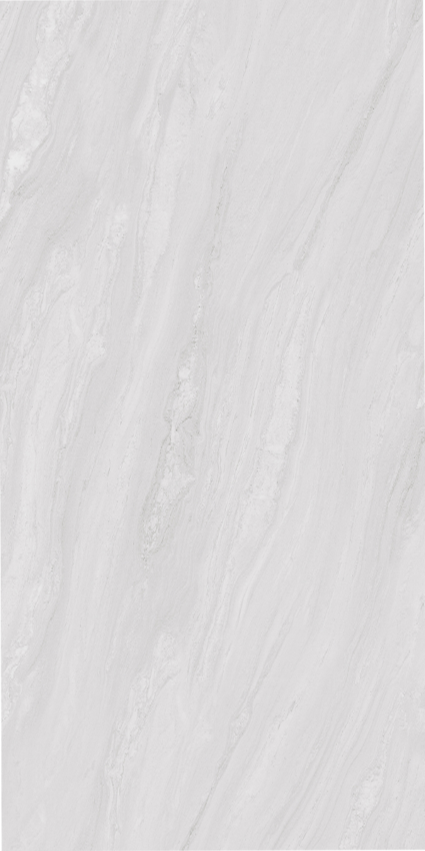 Splendid Silver 600x1200