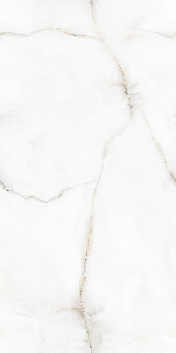 Alpine Onyx Parle 600x1200