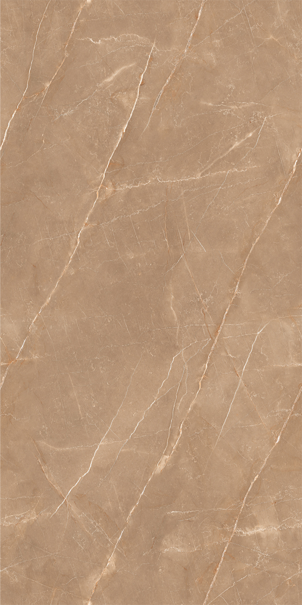 Armani Graviti Brown 600x1200