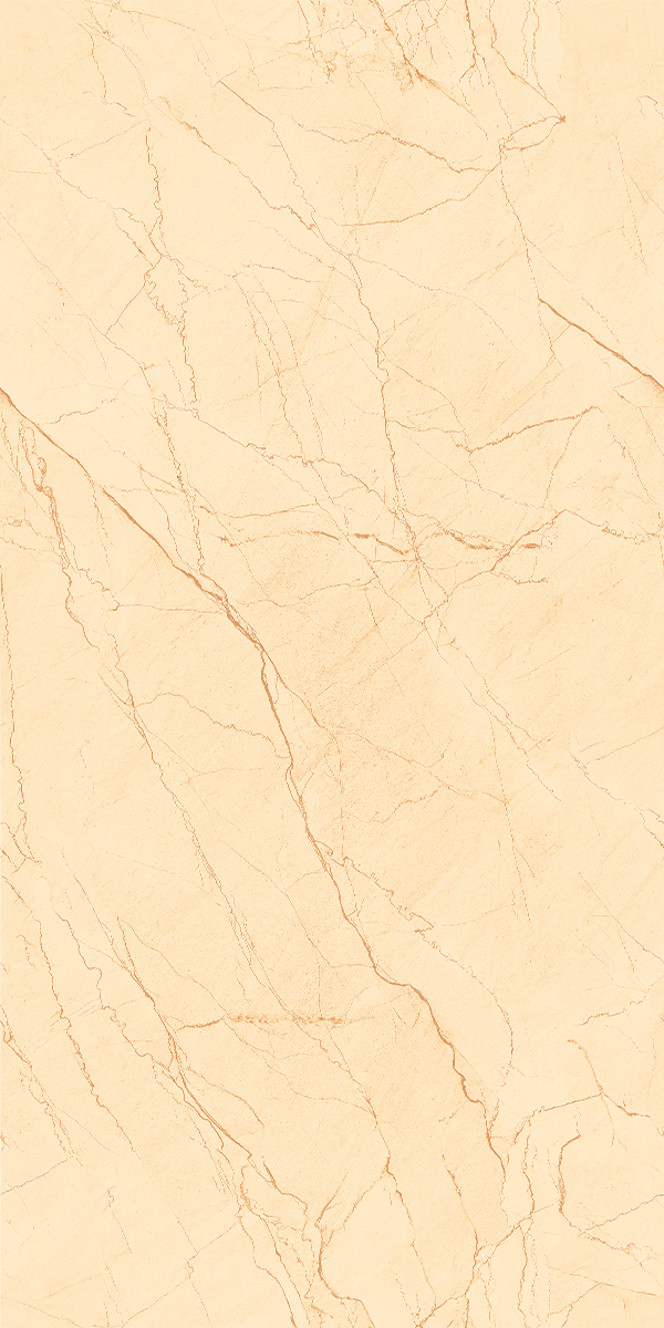 Berry Beige 600x1200