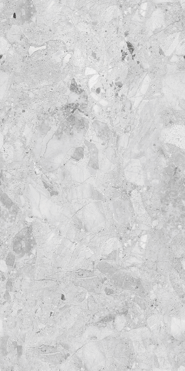 Birzeit Grey 600x1200