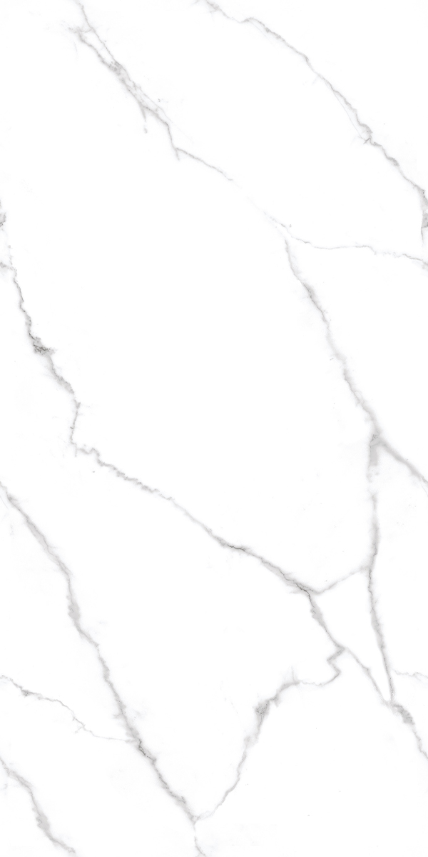 Glassor Grey 600x1200