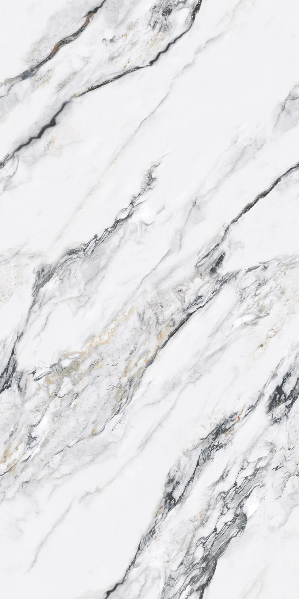 Greylac Grey 600x1200