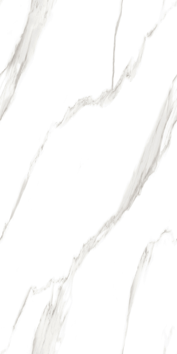 Satvario Noble 600x1200