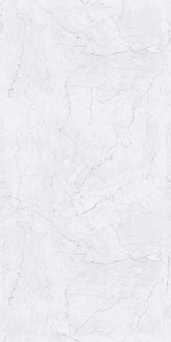 Vein Grey 600x1200