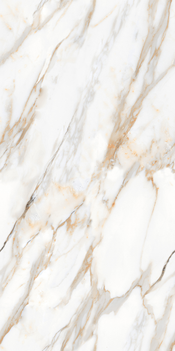 Zebrino Gold 600x1200