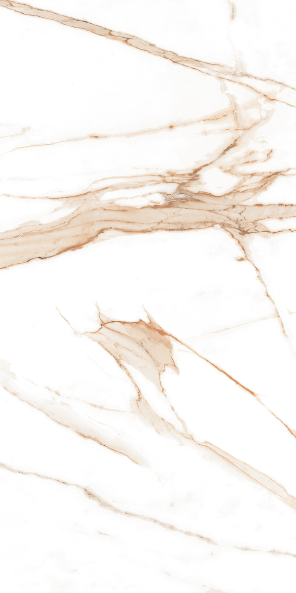GLOSSED HARMONY 600×1200 mm tile