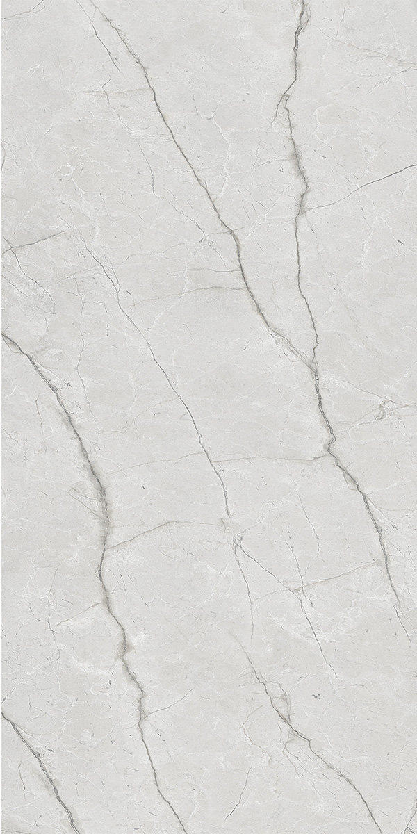 Revera Grey 600x1200