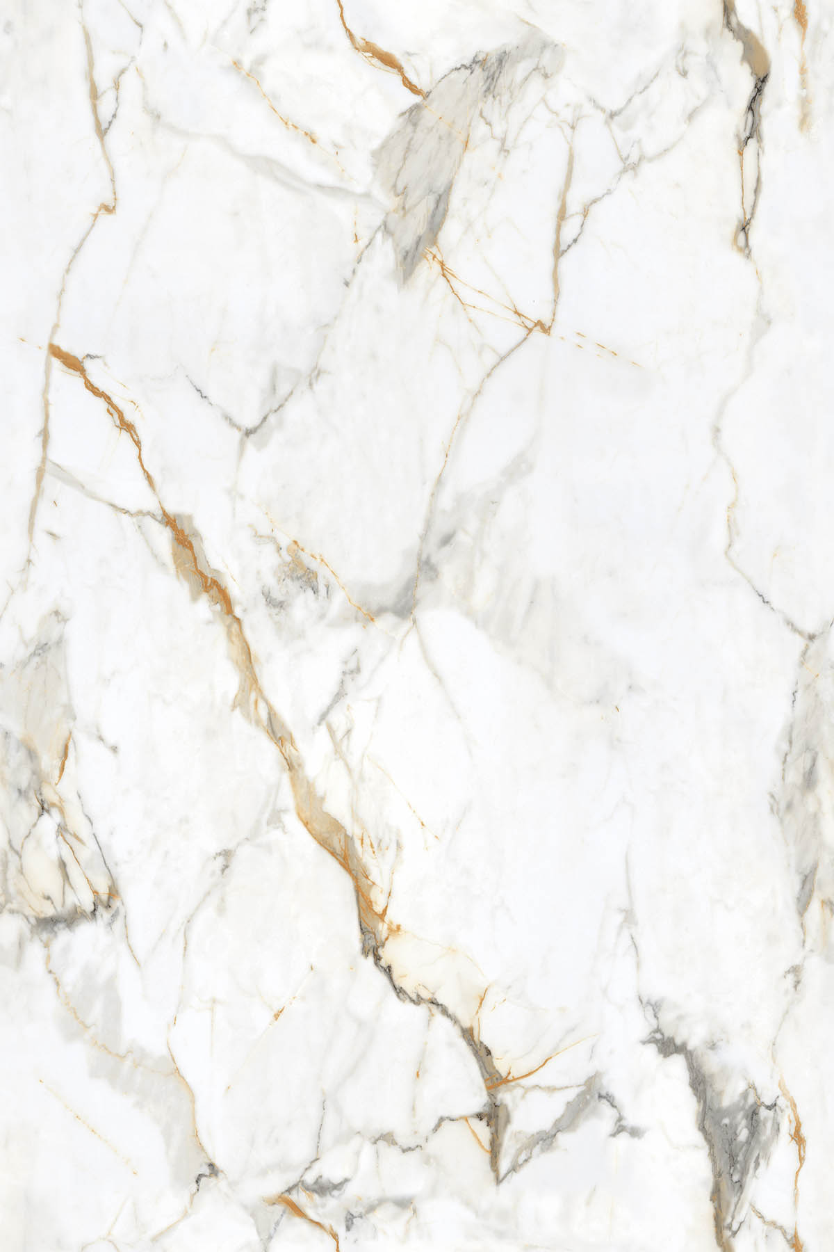 Asacia White 1200x1800