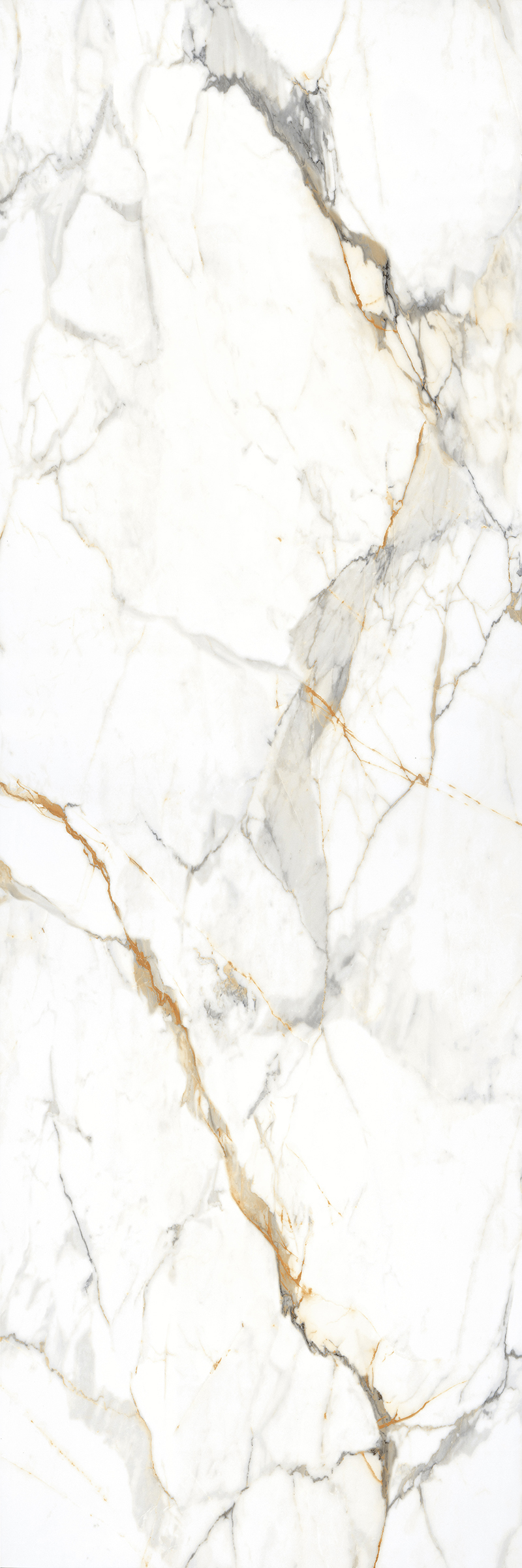 Asacia White 800x2400