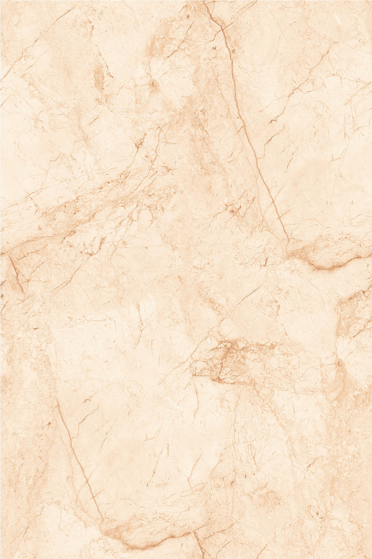 Breccia Fantasia 1200x1800