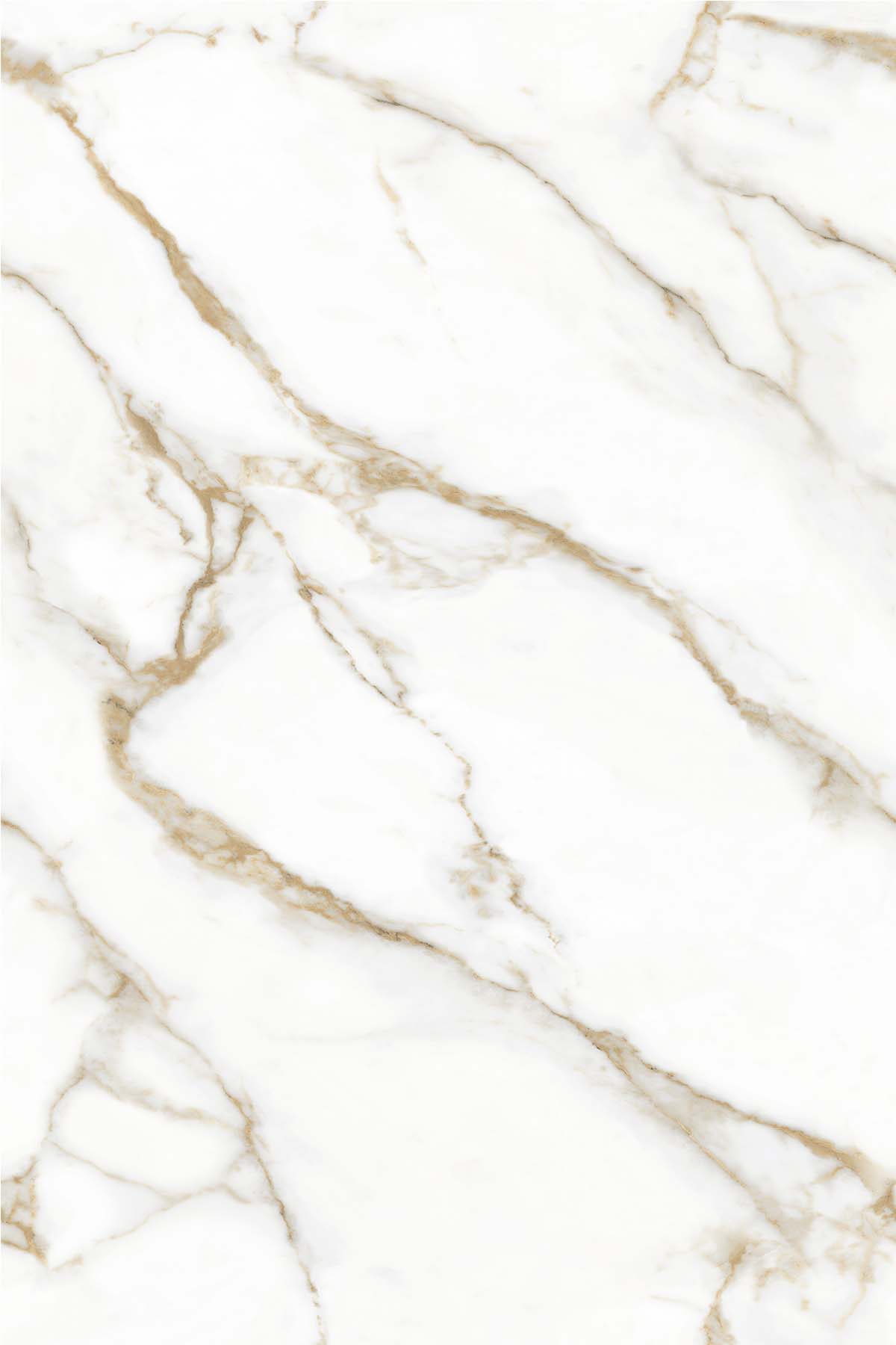Oro Bianko 1200x1800