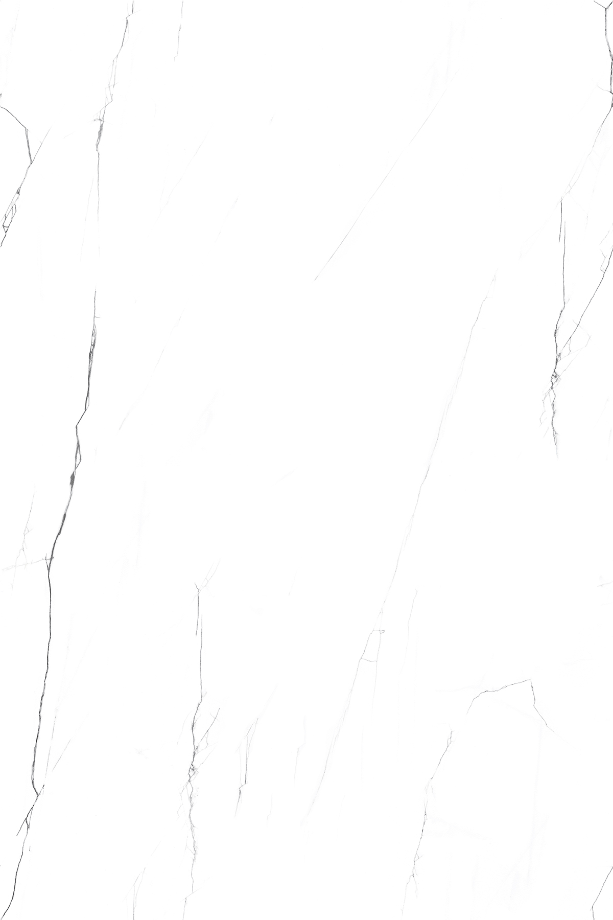 Screplato White 1200x1800