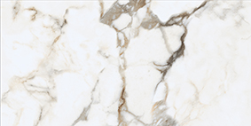 Pisa Gold 300x600