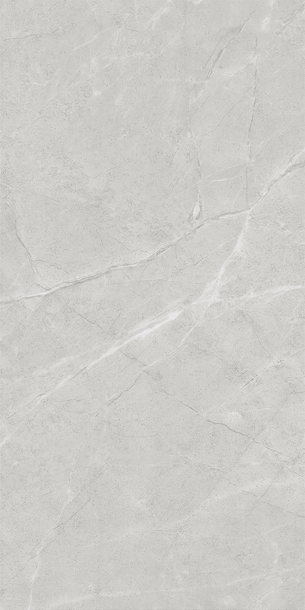 Fossil Silver 600x1200