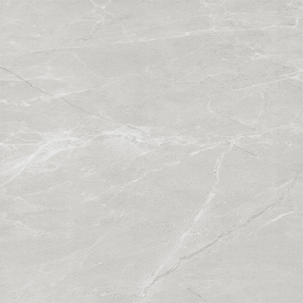 Fossil Silver 600x600