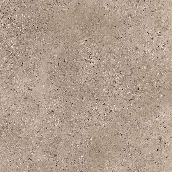 Parker Brown 600x600