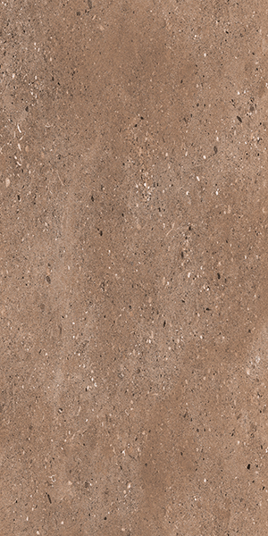 Parker Choco 300x600