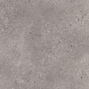 Parker Gris 300x300