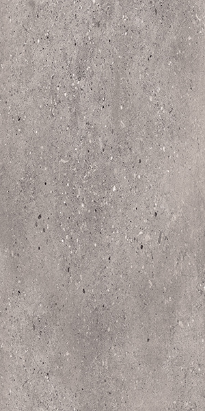 Parker Gris 300x600
