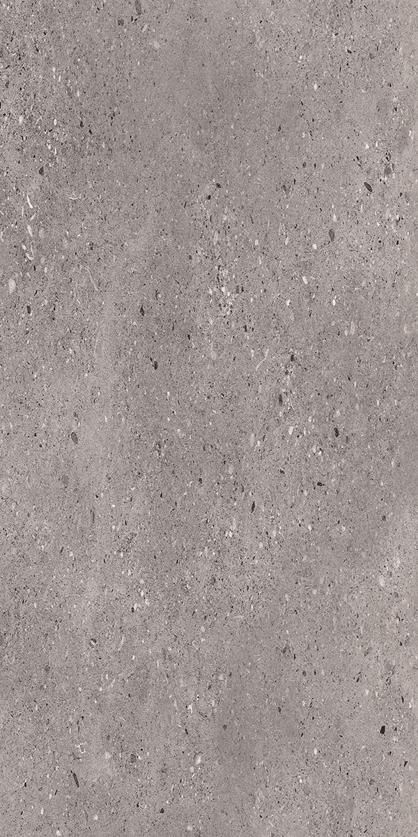 Parker Gris 600x1200