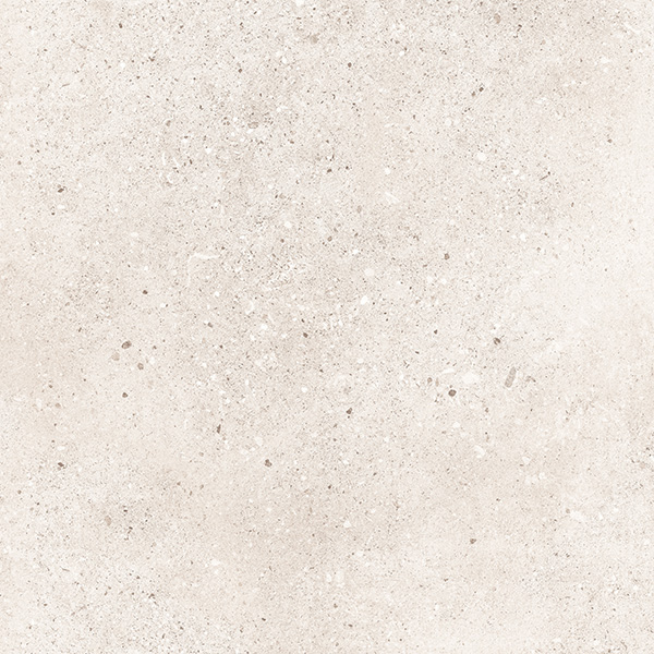 Parker Rose 600x600