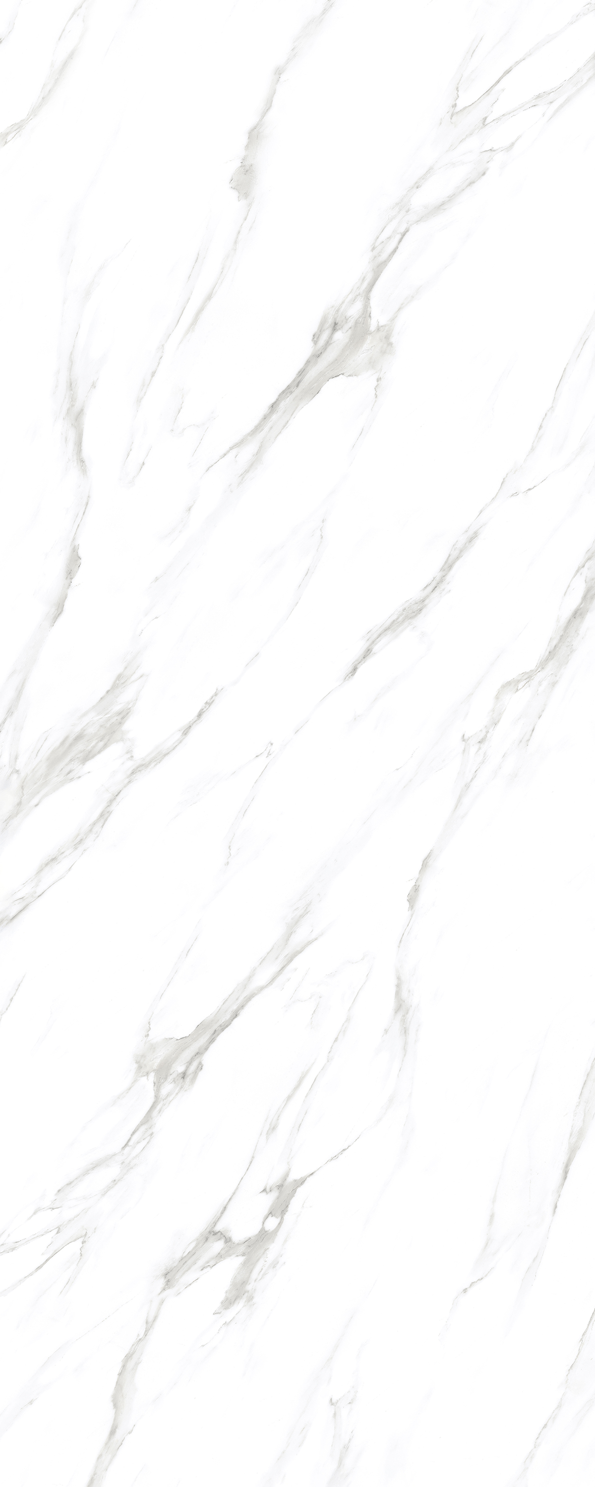 Bellegio Bianco 1200x3000