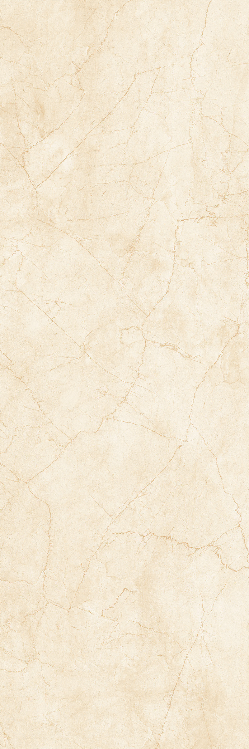 Crema Marfil 800x2400
