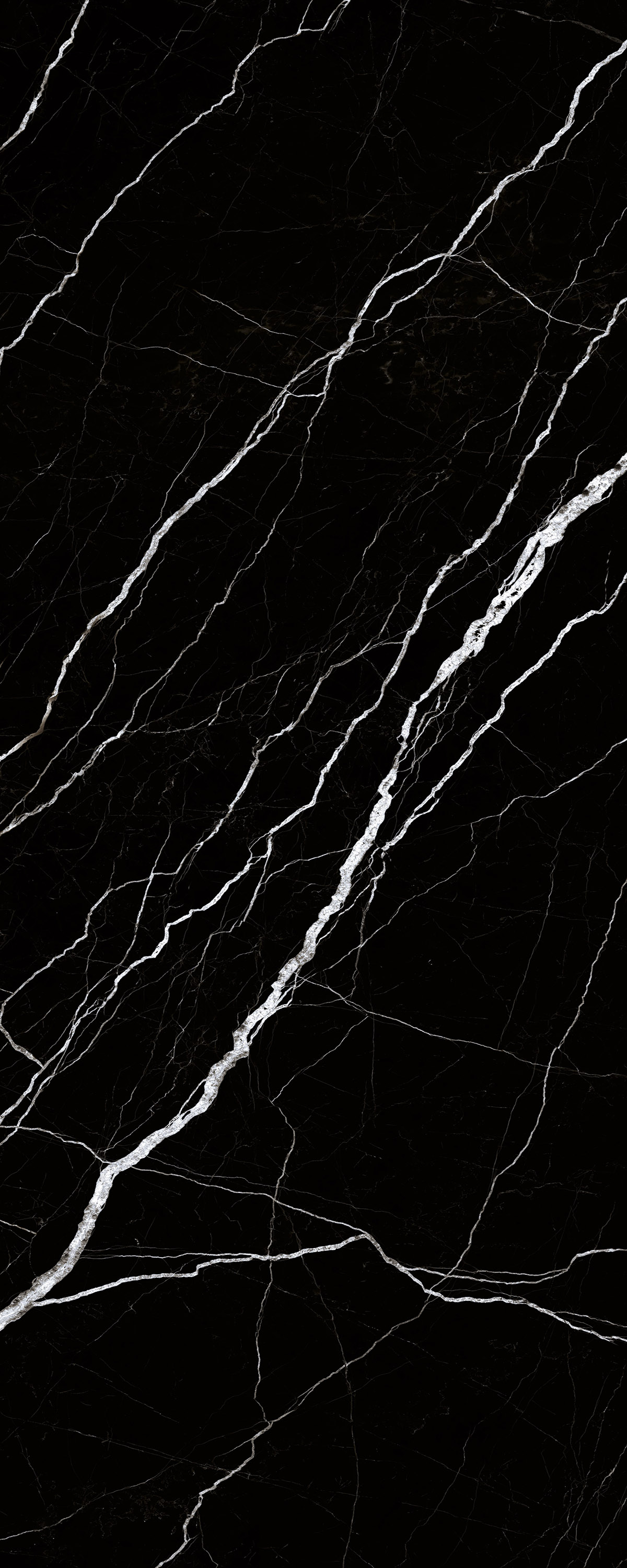 Dream Night 1200x3000