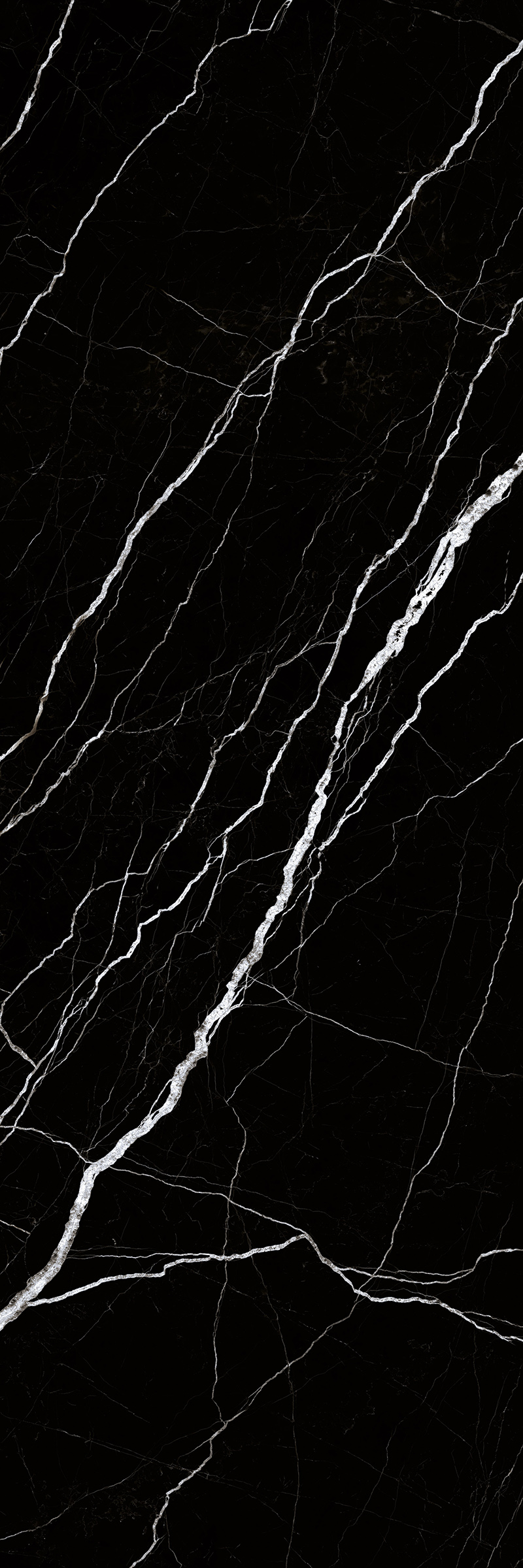 Dream Night 800x2400