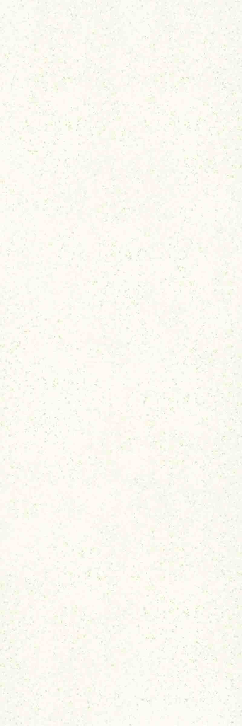 SINTEREDSTONE COLLECTION 800×2400 mm tile