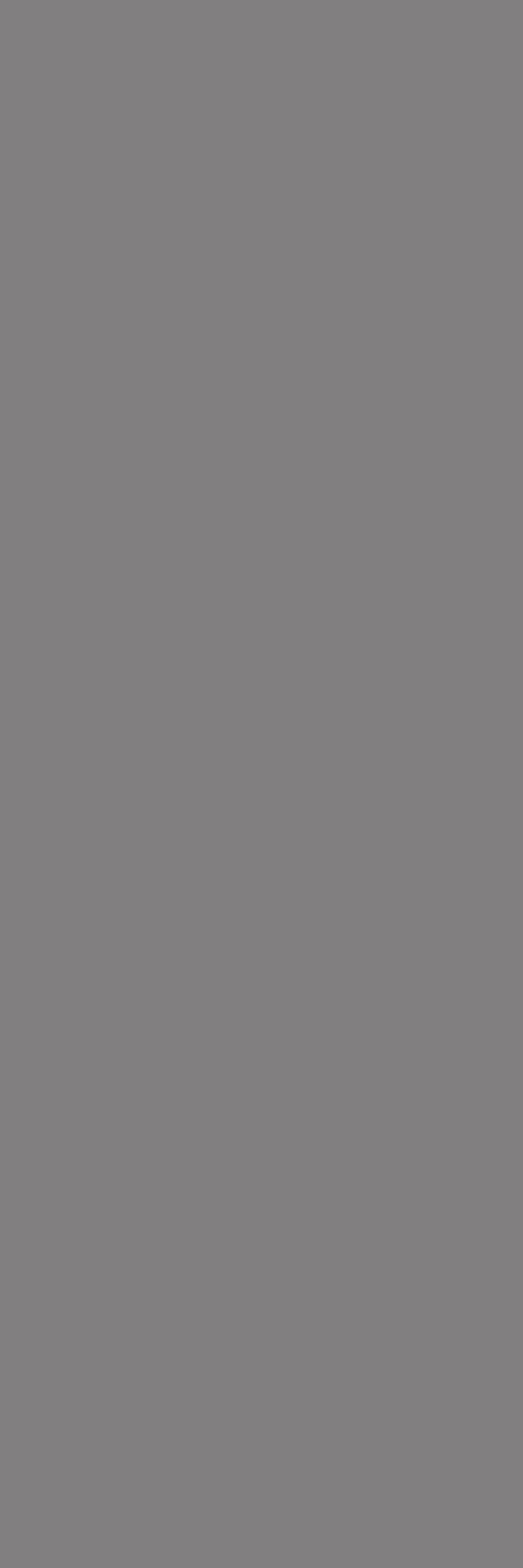 Plain Grey 800x2400