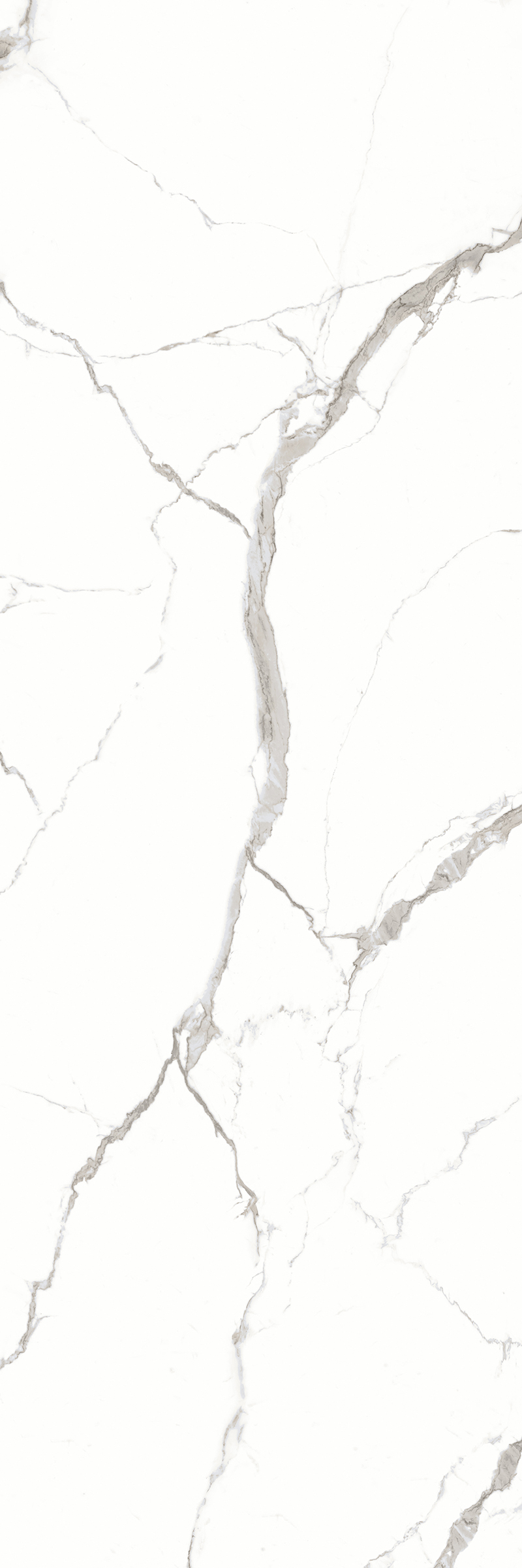 Statuario Ice 800x2400